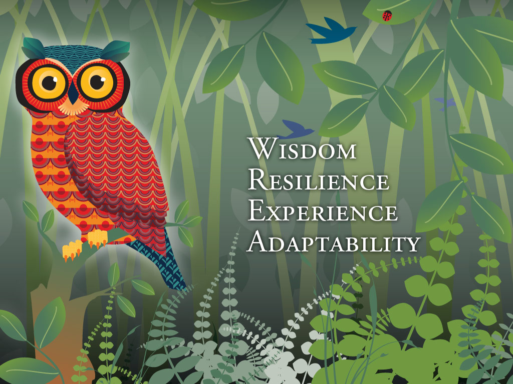 Program for Positive Aging