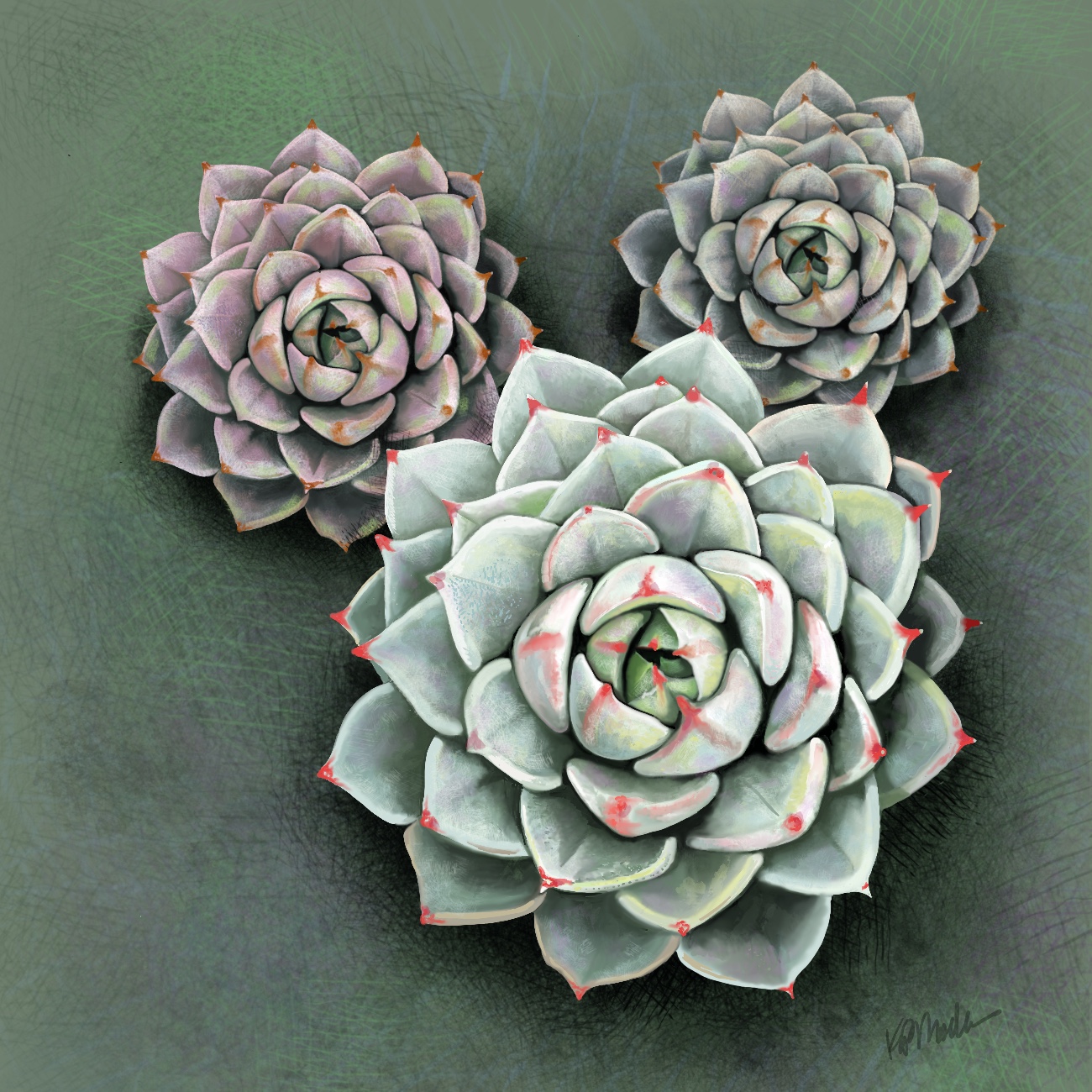 Digital Painting of succulents